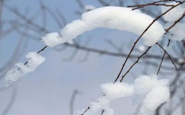 雪小学作文400字6篇