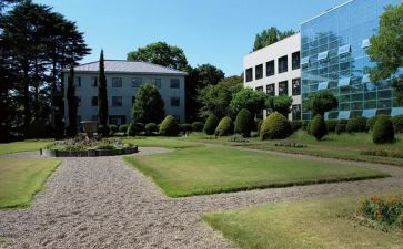 大学部长工作计划范文6篇