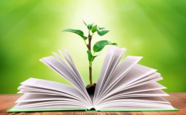 一年级上学期教学工作计划精选8篇