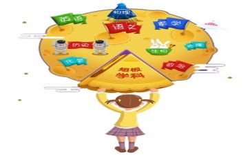 小学各学科培训心得体会7篇
