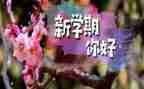 大学本学期工作计划8篇