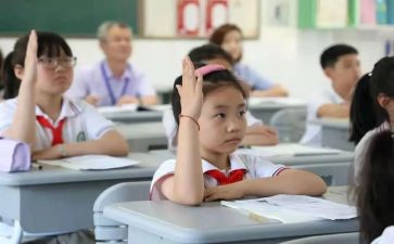 大学生军训心得体会800字8篇