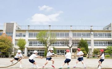 大学生做培训心得体会精选7篇