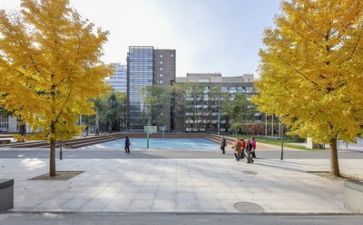 学校年安全工作总结8篇