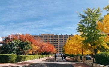 关于对学校的调查报告8篇