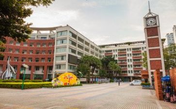 2024年学校校长述职报告推荐8篇