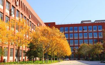 学校的工作计划与总结最新8篇