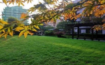 学校21工作计划优秀6篇