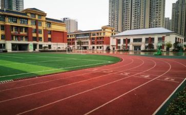 2024年学校个人总结参考5篇