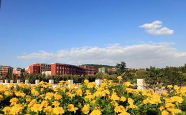 学校安全讲话稿优质5篇