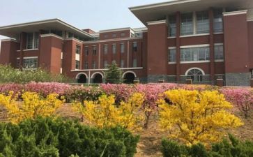 我在学校300字作文7篇
