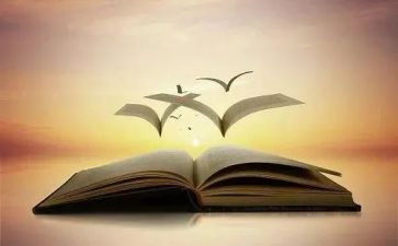 小学业务副校长述职报告6篇