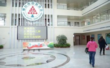 血站护士个人总结6篇