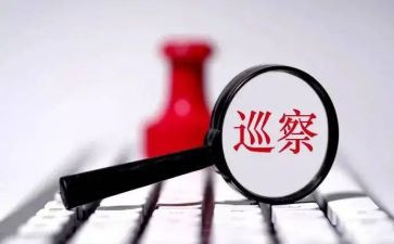 对巡察组的党委工作报告5篇
