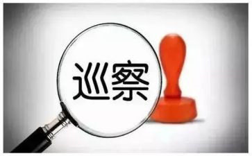 巡察组长工作个人总结8篇