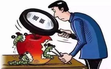 巡察组长个人总结8篇