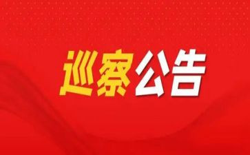 村巡察工作报告7篇