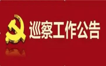 巡察的讲话稿5篇