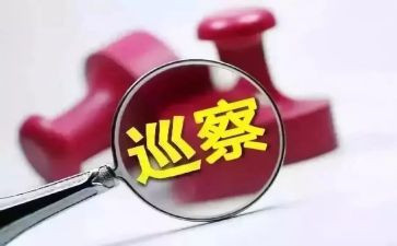 村巡察工作报告通用5篇