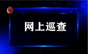 巡查组巡查工作总结7篇