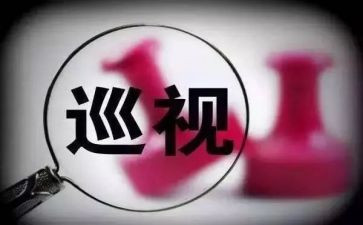 参加巡视工作总结7篇