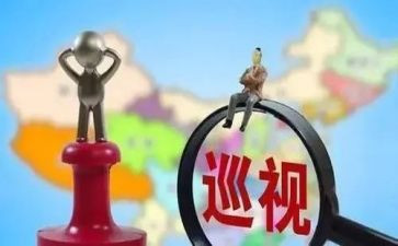 2024年巡视组工作总结5篇