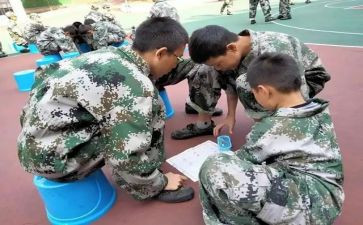 培训学校总结工作计划5篇