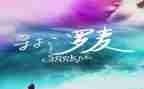 寻找的活动方案7篇