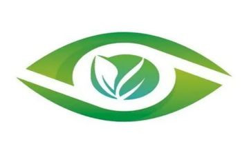 爱眼日主题活动教案8篇