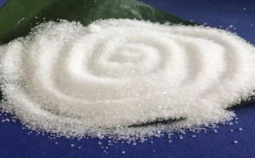 盐与健康活动总结参考5篇