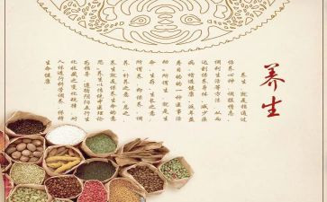 泡养生茶心得体会8篇