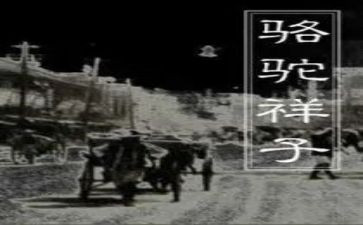 我的样子作文通用7篇