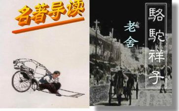 我的样子作文优秀6篇