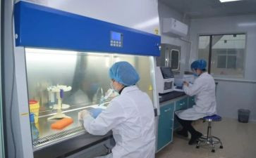 检验员转正申请书5篇