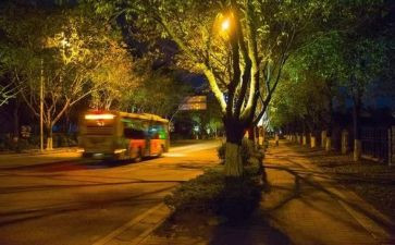 夜大毕业生自我鉴定范文6篇