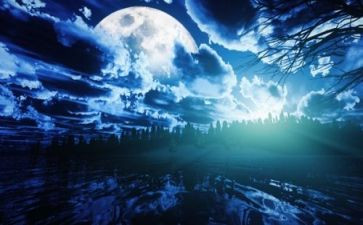 夏夜星空作文优秀7篇
