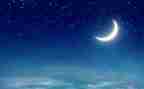 夏夜作文400字6篇
