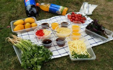 组织野炊活动方案7篇