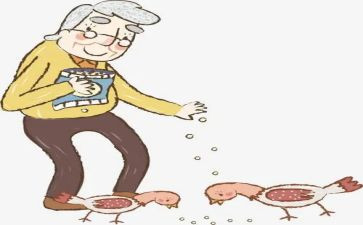 爷爷作文800字模板5篇