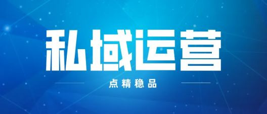 代运营运营方案模板5篇