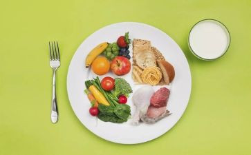 健康饮健康饮食演讲稿推荐8篇