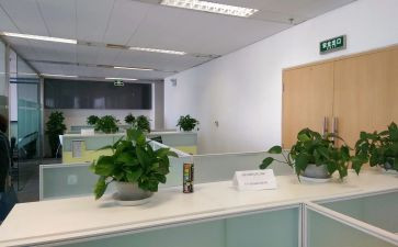银行办公室工作总结8篇