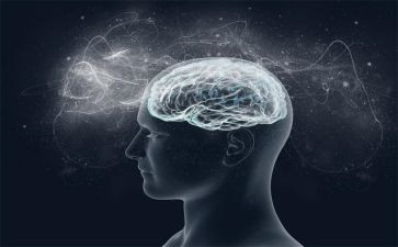 书记抓意识形态工作述职报告6篇