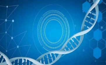 医学生工作心得体会精选6篇