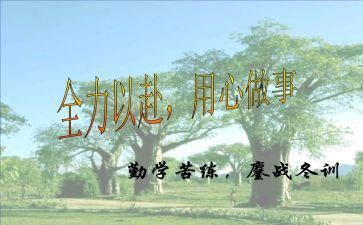 我用心的作文5篇