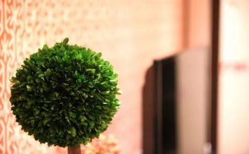 幸福有声音作文6篇