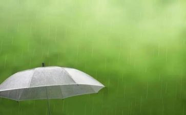 下雨天的我作文模板5篇