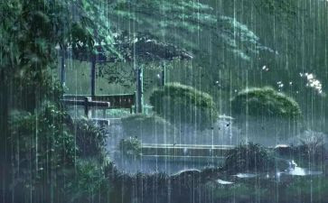 黑雨的心得体会2000字8篇