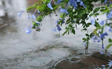 黑雨的心得体会2000字精选5篇