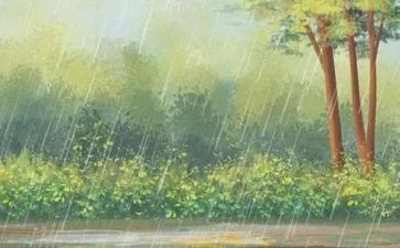 《雷雨》教案5篇